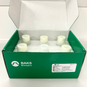 BAKS SPR running buffers 10×PBS-P+ buffer (300mL)